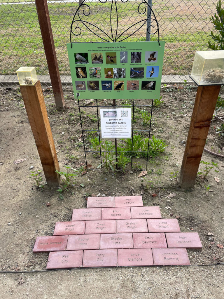 All the bricks that have been donated as a result of the brick fundraiser.