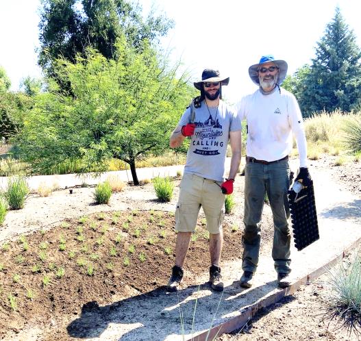 Saturday Garden Crew Connor Oakes and Rodger Pachelbel plant Buffalo Grass